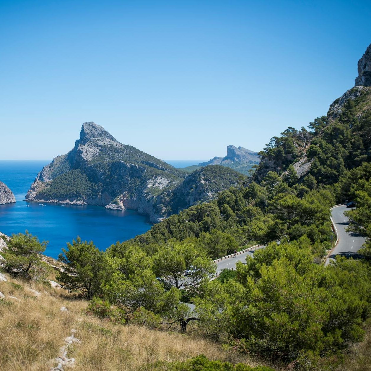 Breathtaking view of rugged cliffs and clear blue sea on a sunny day, framed by greenery and winding road.